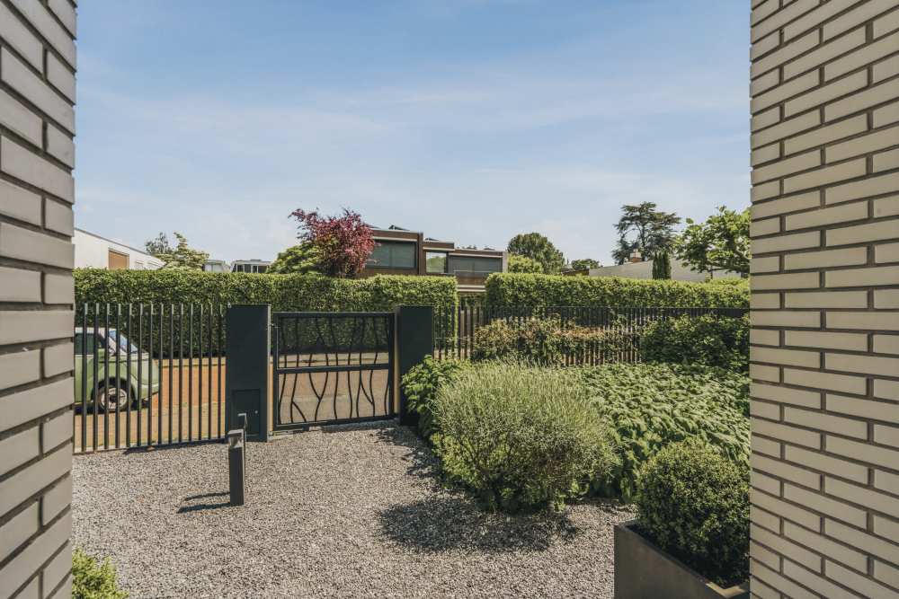Foto 71 1000w