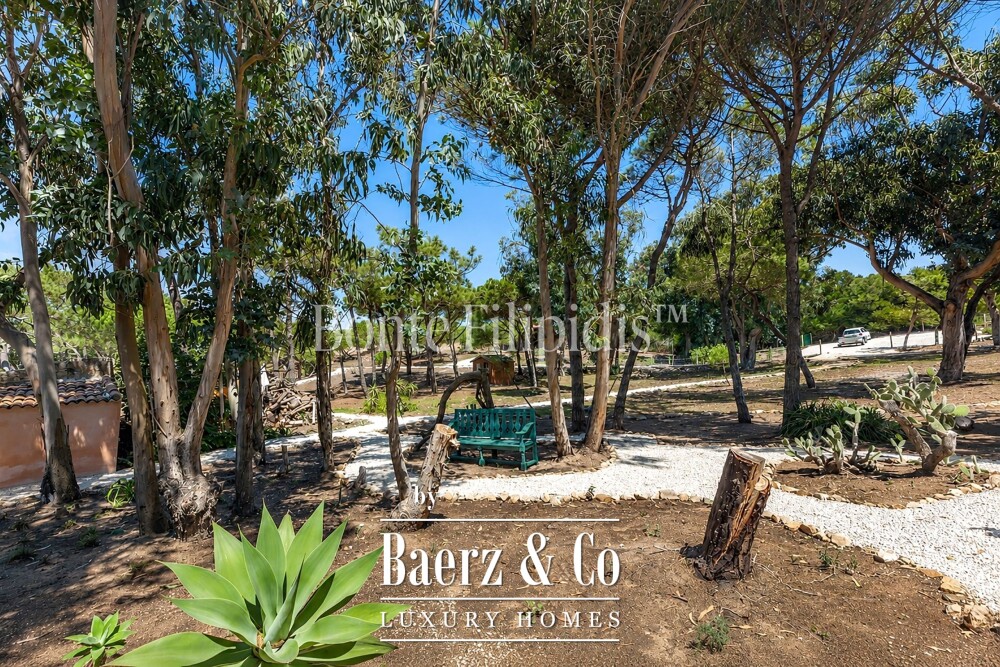 Foto 18 1000w