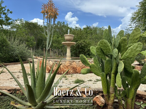 photo 19 A Private Yucatán Estate - villa, tower suite, guest casita, medicinal garden, orchard and more
