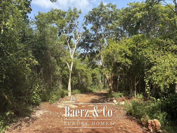 photo 26 A Private Yucatán Estate - villa, tower suite, guest casita, medicinal garden, orchard and more